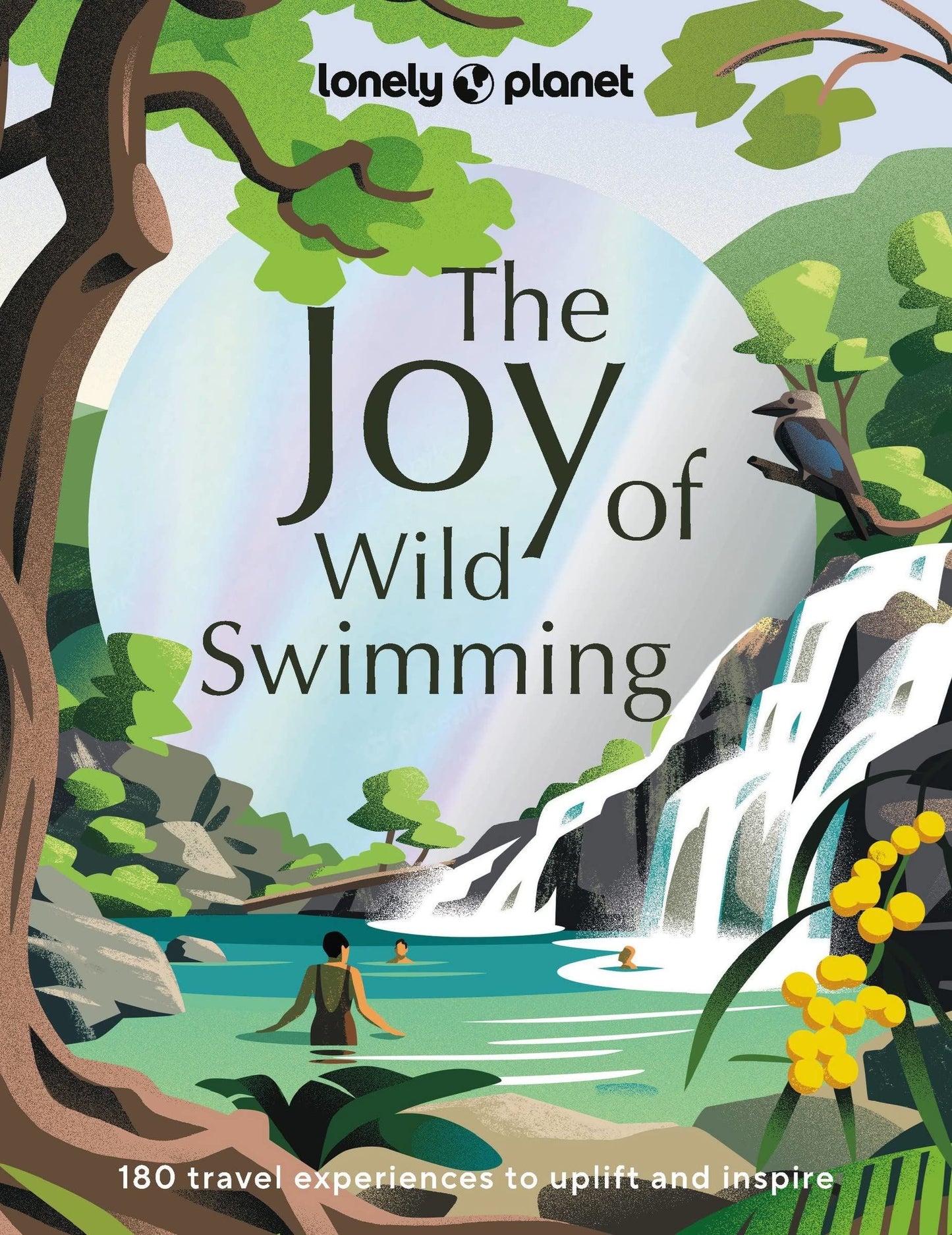 Book - The Joy of Wild Swimming