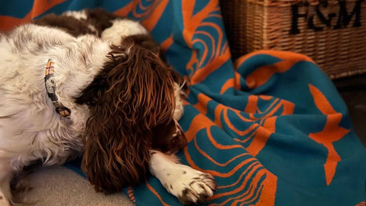 Is it Better to Sleep with a Thin or Thick Blanket?