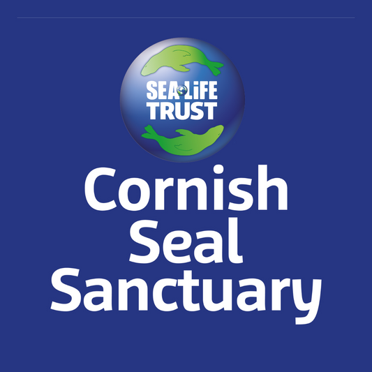We’re Supporting the Cornish Seal Sanctuary