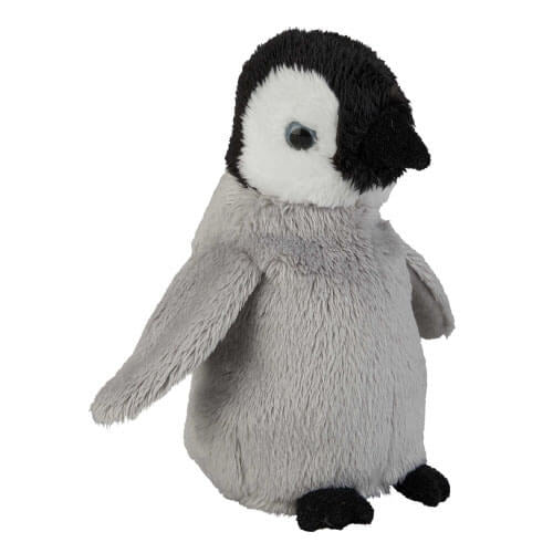 Penguin Chick