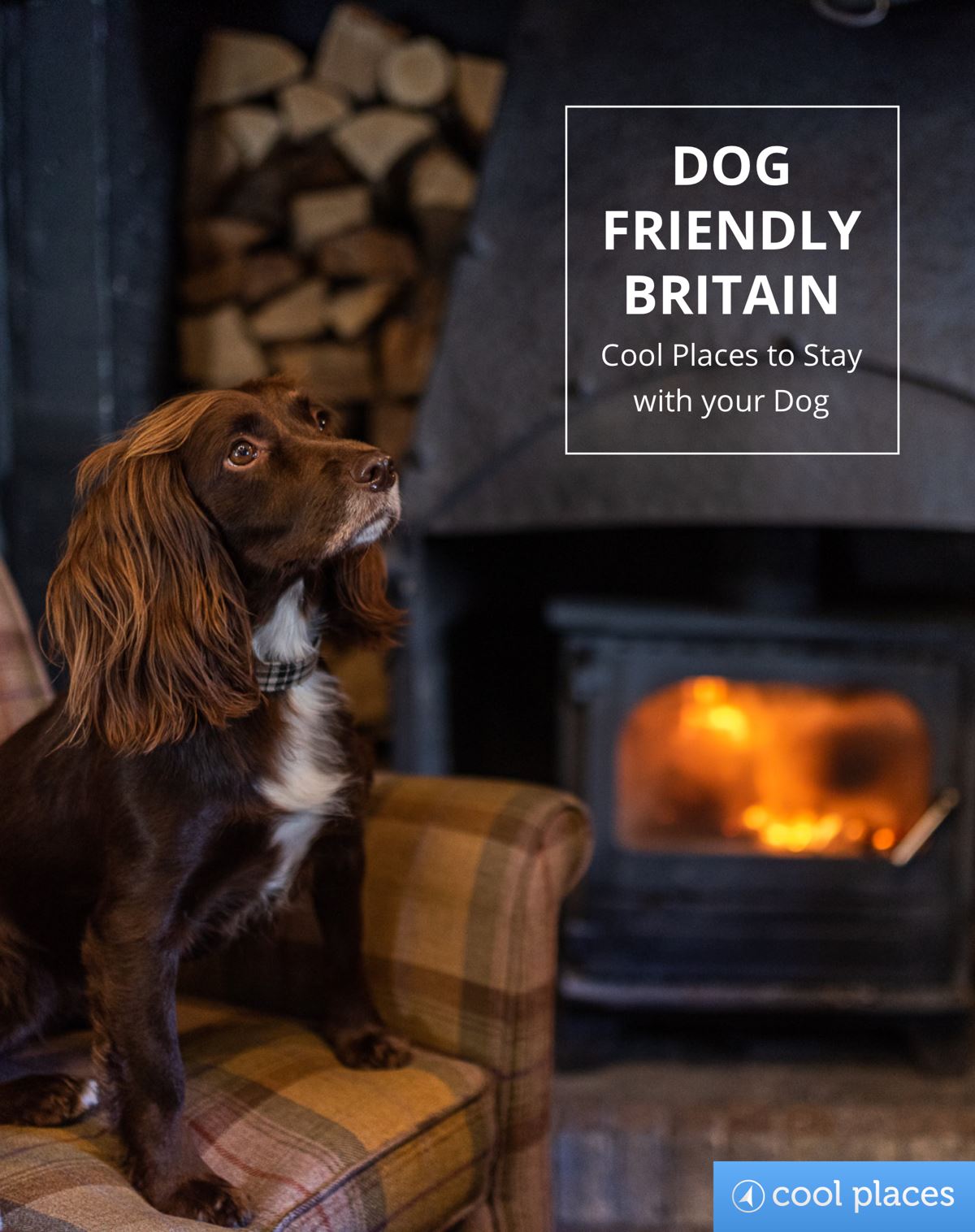 Dog Friendly Britain - Cool Places to Stay with your Dog