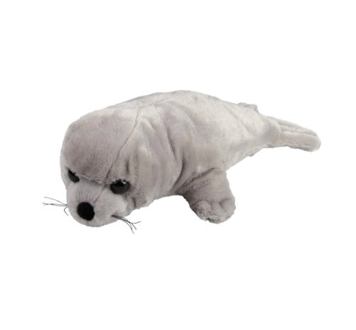 Large Grey Seal